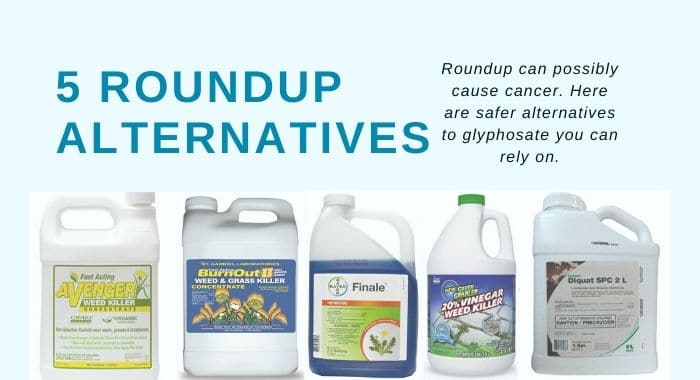 5 ROUNDUP alternatives - glyphosate substitutes