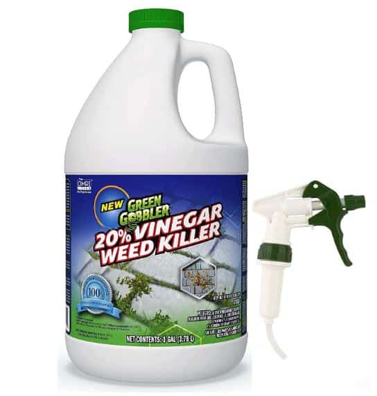 Glyphosate alternative 1 - Green Gobbler Vinegar Weed Killer - Natural and Organic Weed and Grass Killer