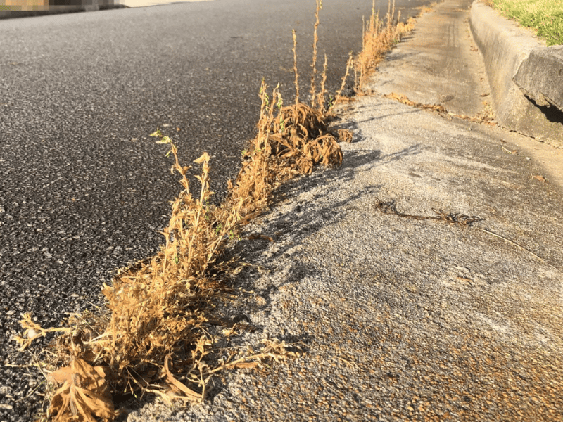 Using salt to kill weeds in gravel and driveways