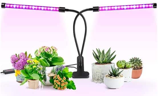 Ankace LED Grow Light for Indoor Plants
