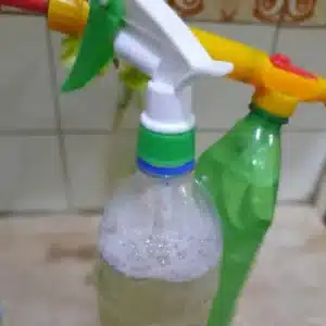 Add dish soap and pour into a spray bottle