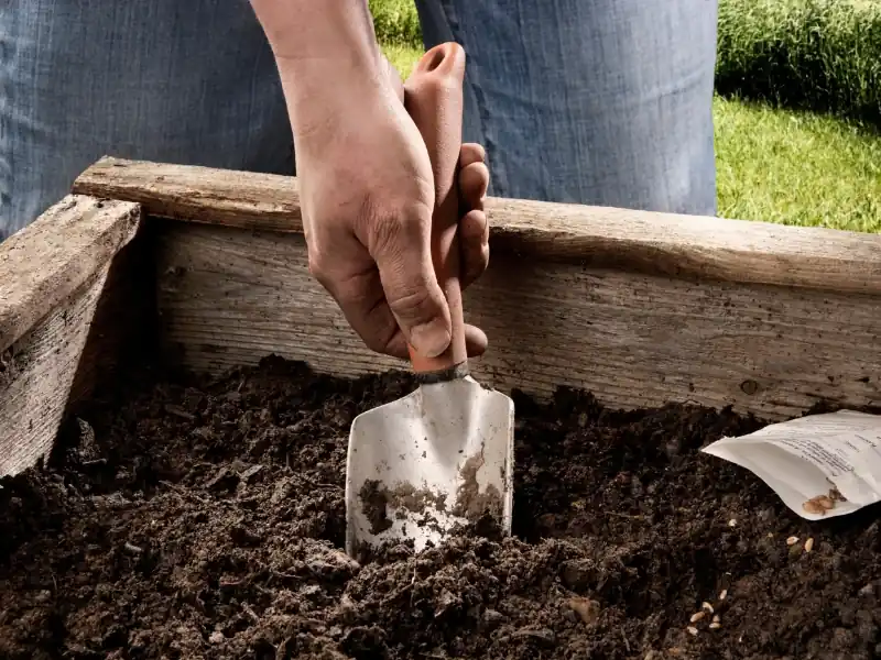 Commercial soil for raised garden beds
