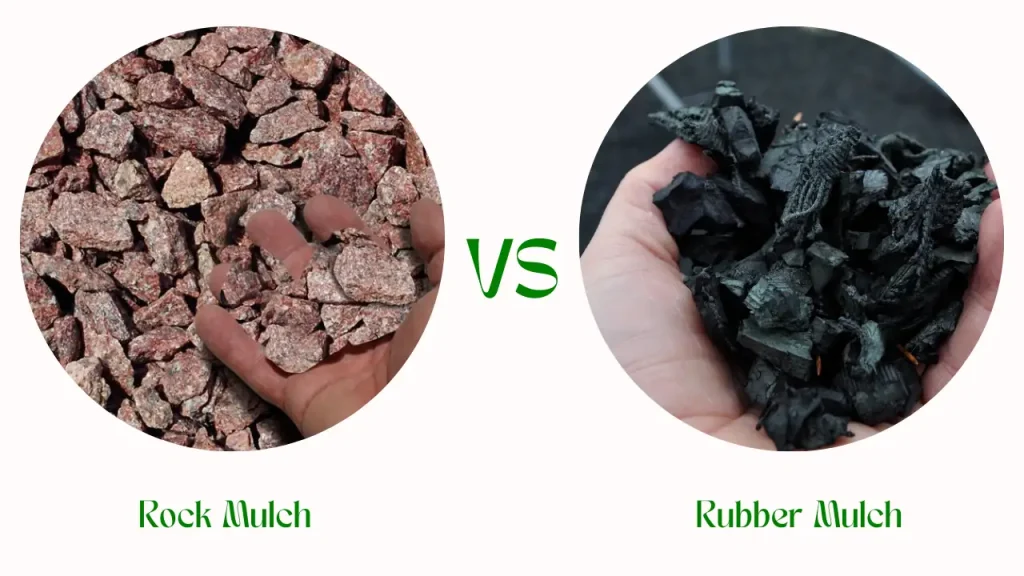 Rock Mulch vs Rubber Mulch