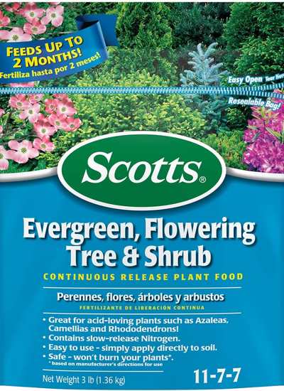 Scotts Evergreen Fertilizer