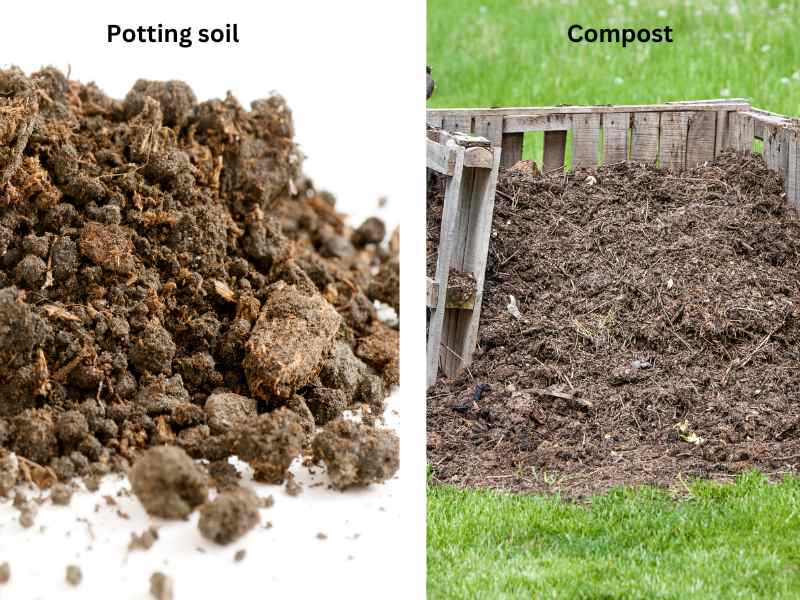 Potting soil (left) and compost (right)